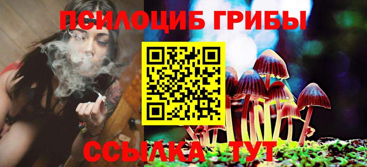 Галлюциногенные грибы Psilocybine cubensis Советская Гавань