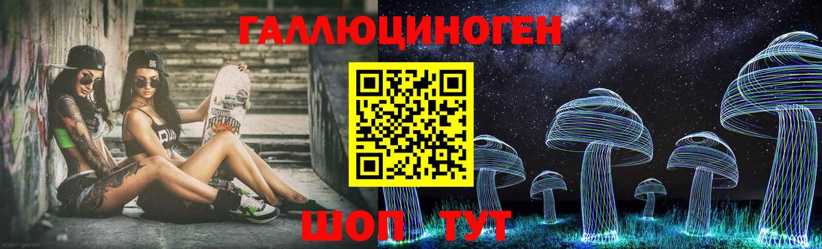 Советская Гавань  Галлюциногенные грибы прущие грибы  Вход с VPN 
